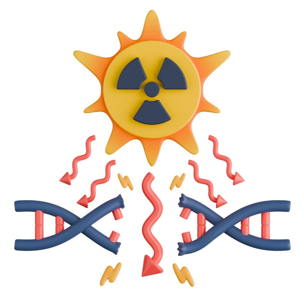 Efectos de la radiación en el ADN.